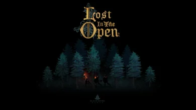 Lost In The Open